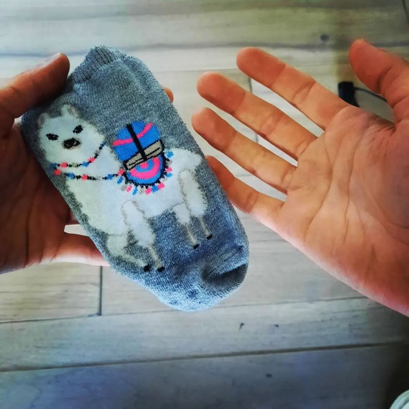 Schrodinger’s Sock