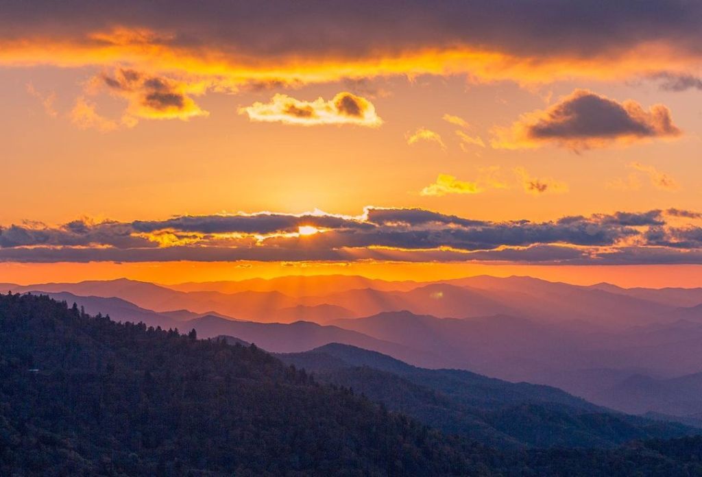 I Dream of&nbsp;Longing