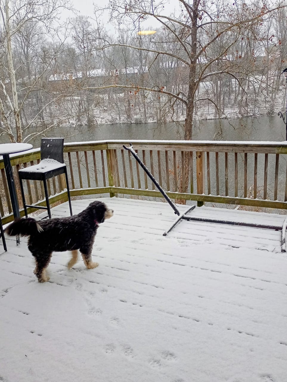 All My Five&nbsp;Senses